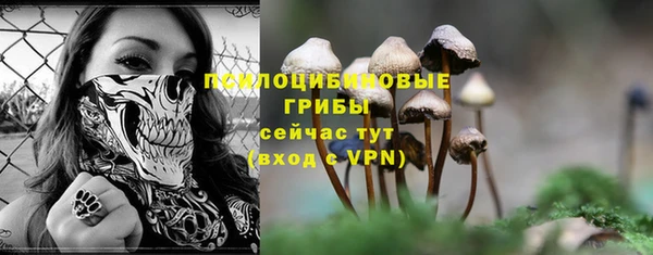 марки nbome Белокуриха
