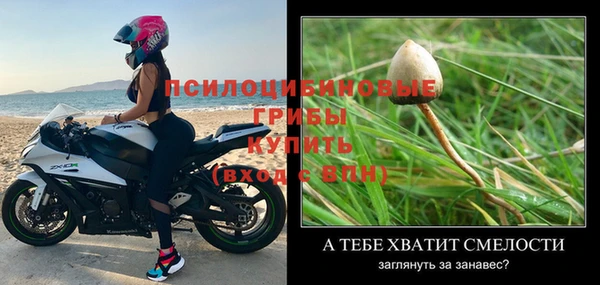 марки nbome Белокуриха
